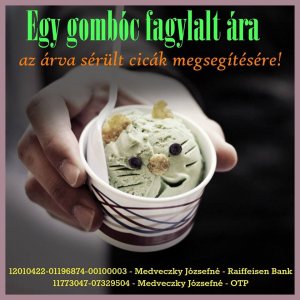 fagyi