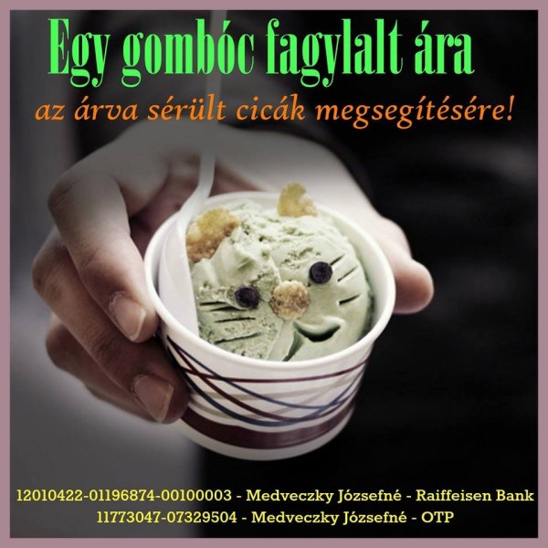 fagyi
