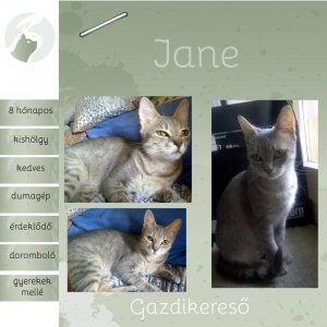 jane
