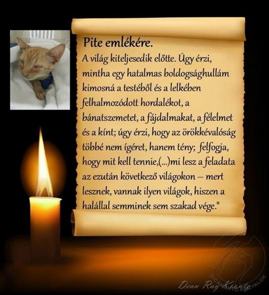 pite
