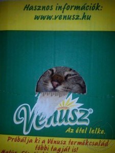 viszki